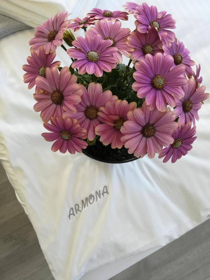 Armona Apartman Ustka Kültér fotó